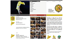 Desktop Screenshot of canariosbarcelona.org